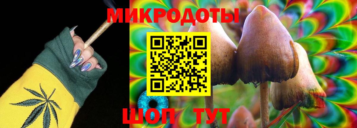 дарнет шоп  Псилоцибиновые грибы MAGIC MUSHROOMS  Вход с VPN  Среднеуральск 